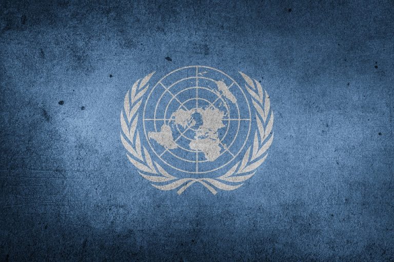 La traduzione in italiano della lettera dell’ONU all’Italia sul decreto sicurezza bis